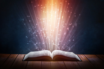 小学生生活中的法律常识知识点