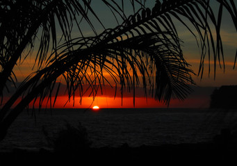 幼儿对事物认识模糊的措施