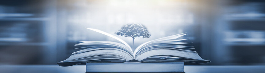 如何通过放大镜来鉴定翡翠的真伪