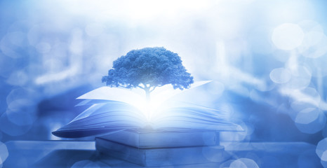 小学生生活中的法律常识知识点