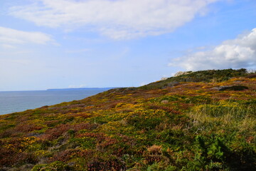 小学生生活中的法律常识知识点