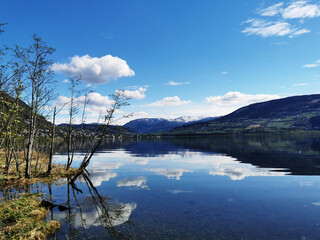 用数学知识解决生活中的问题
