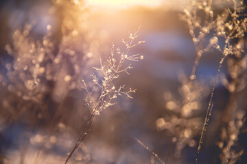 生活化学科普知识