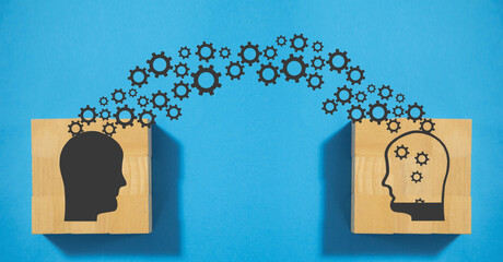 小学生生活中的法律常识知识点