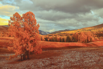 什么是“三从四德”？