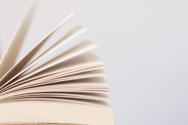 小学生生活中的法律常识知识点