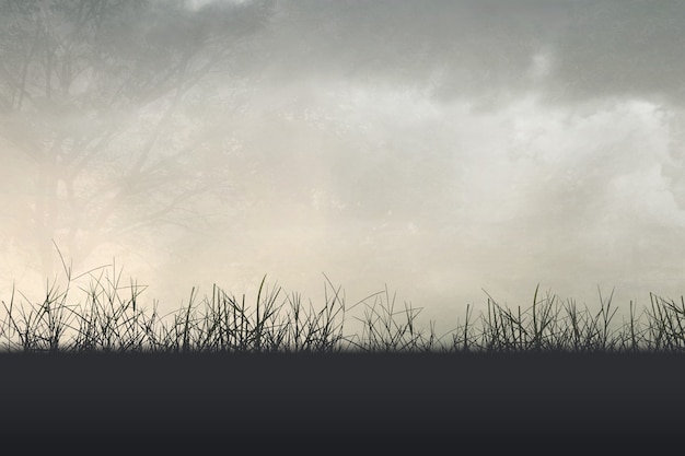 溥仪为何为妻子留下了一大笔遗产？