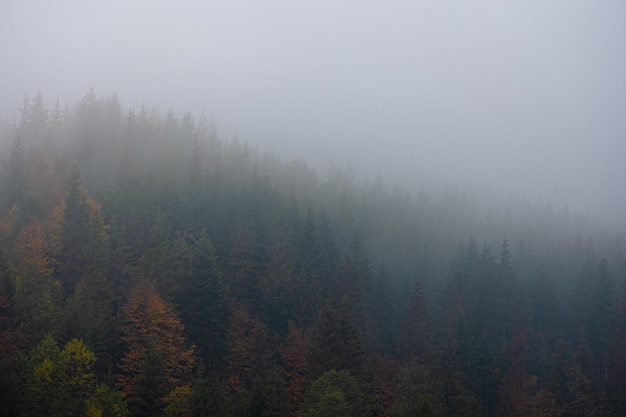 唐乾陵到底有没有被挖掘出来！》？