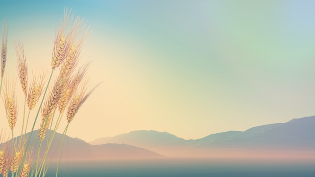 国外文学常识考点