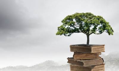 初一下册期中语文知识点总结