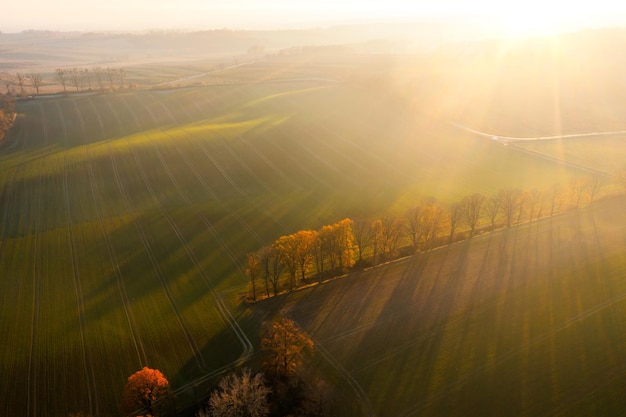 溥仪为何为妻子留下了一大笔遗产？