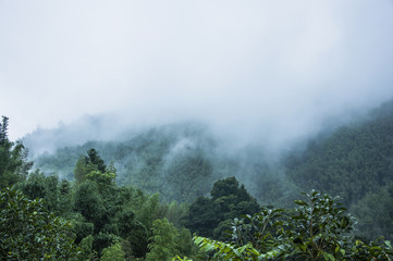 幼儿对事物认识模糊的措施